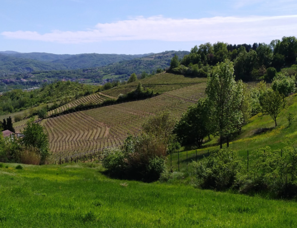 Senza titolo (1)