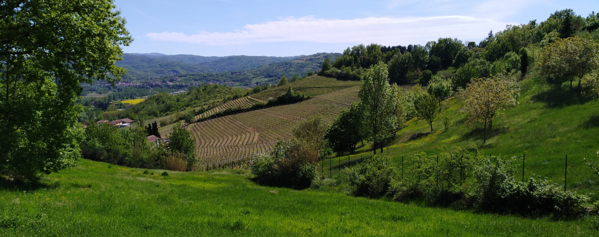 Senza titolo (1)
