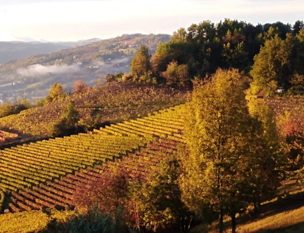 Autunno nella valle