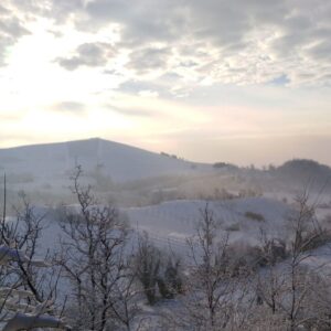panorama con neve